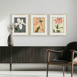 Paragon Enchanted Blooms II S/3 Pink 23 X 19 X 1 Wall Art