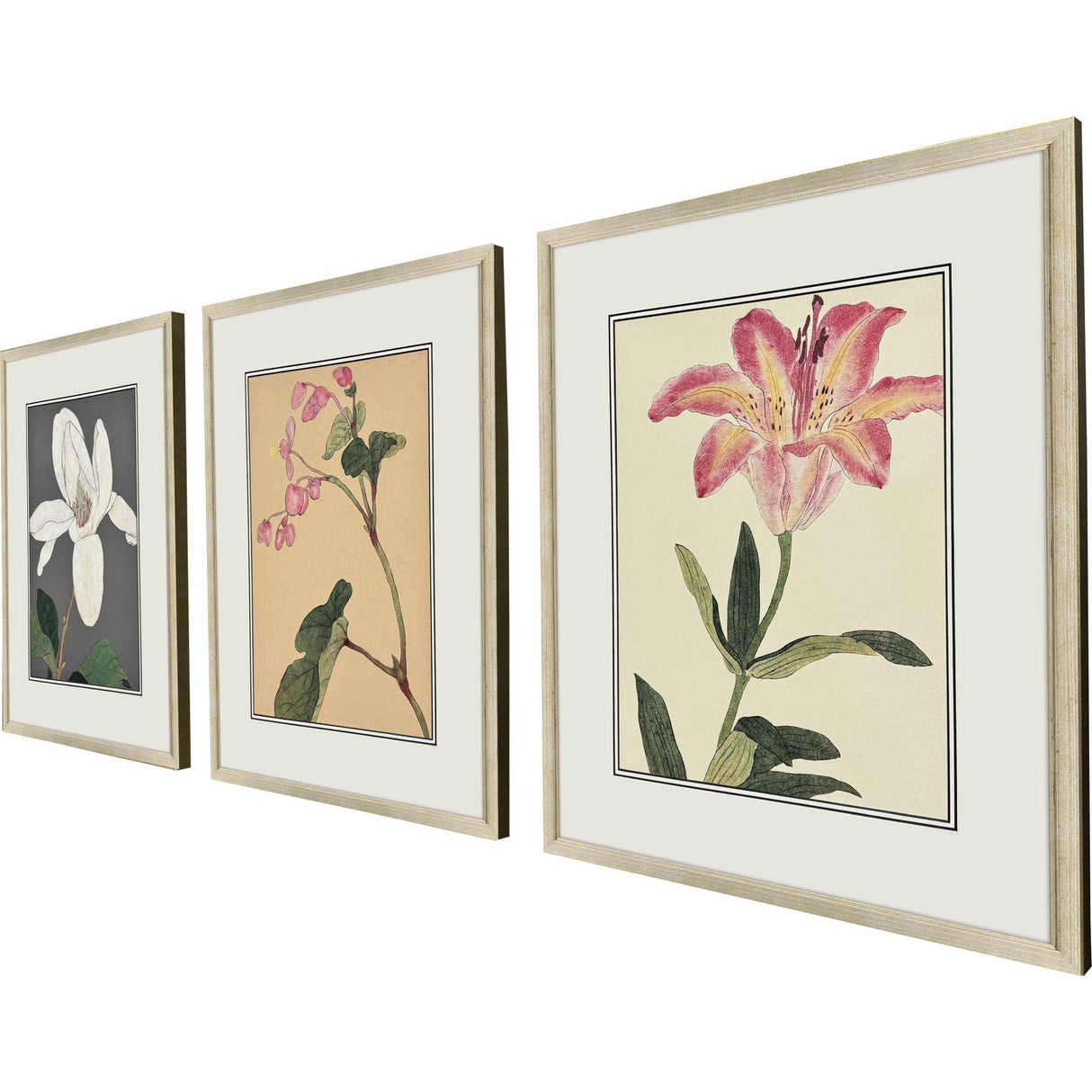 Paragon Enchanted Blooms II S/3 Pink 23 X 19 X 1 Wall Art