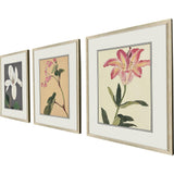 Paragon Enchanted Blooms II S/3 Pink 23 X 19 X 1 Wall Art