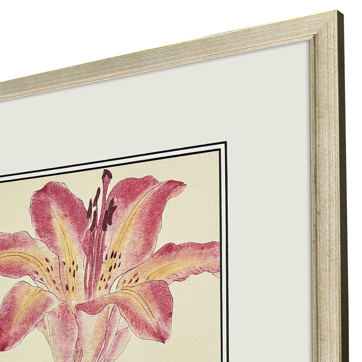 Paragon Enchanted Blooms II S/3 Pink 23 X 19 X 1 Wall Art