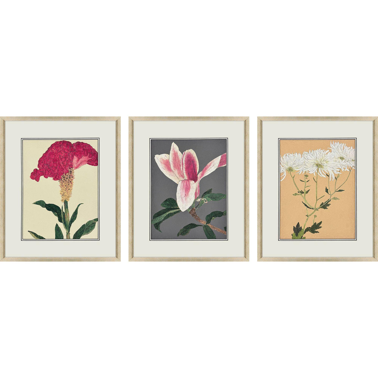 Paragon Enchanted Blooms I S/3 Pink 23 X 19 X 1 Wall Art
