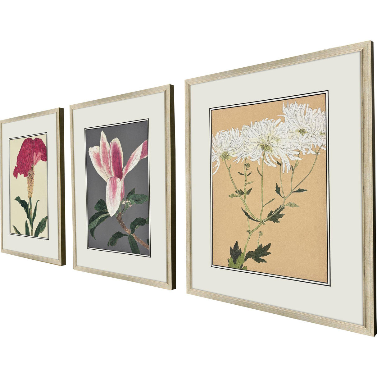 Paragon Enchanted Blooms I S/3 Pink 23 X 19 X 1 Wall Art