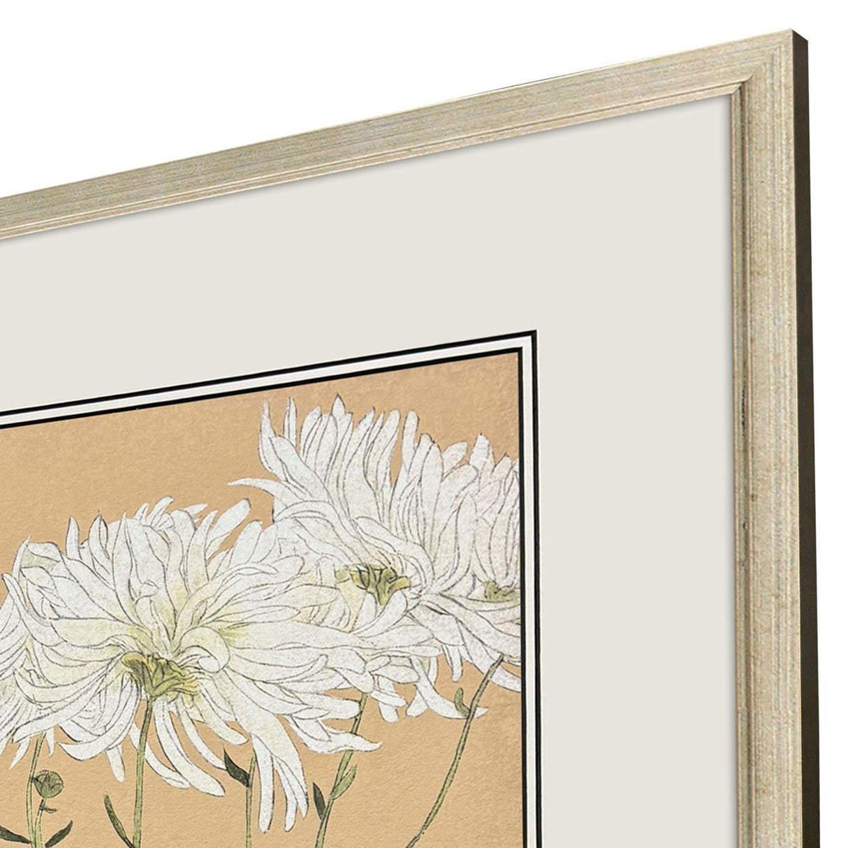 Paragon Enchanted Blooms I S/3 Pink 23 X 19 X 1 Wall Art