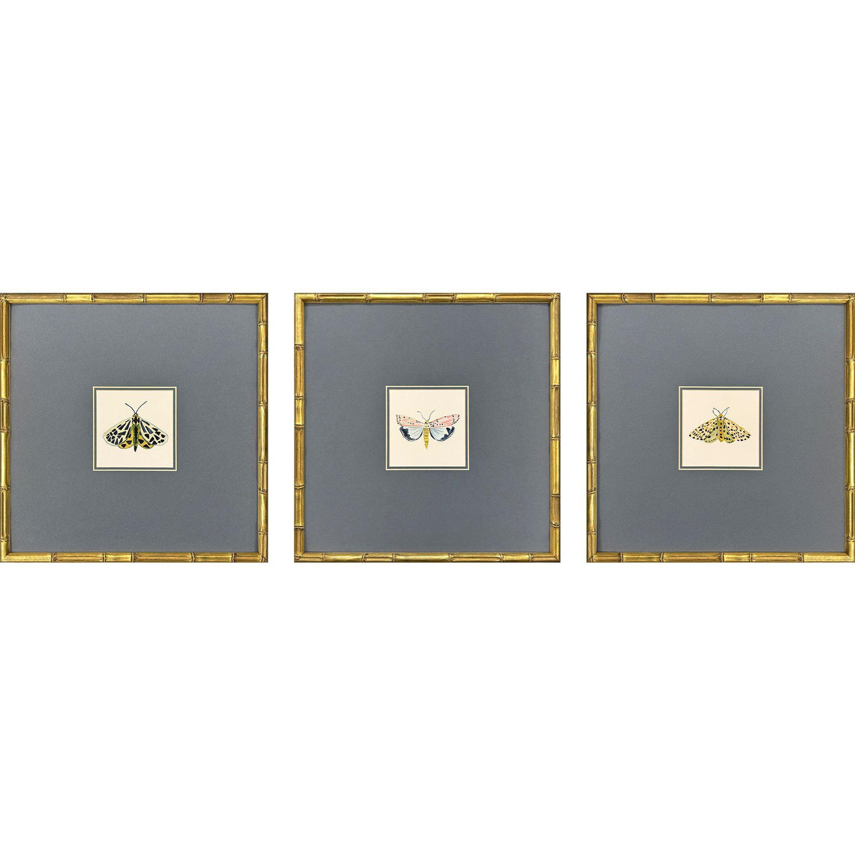 Paragon Pastel Moths I S/3 Green 17 X 17 X 2 Wall Art