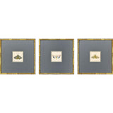 Paragon Pastel Moths I S/3 Green 17 X 17 X 2 Wall Art