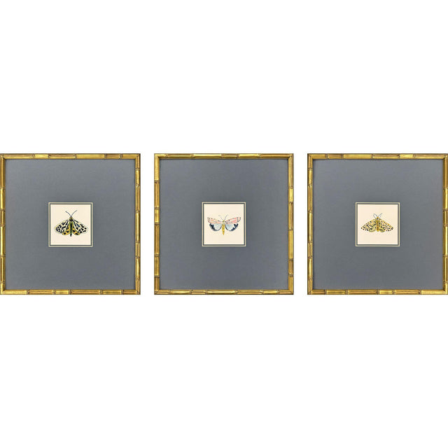 Paragon Pastel Moths I S/3 Green 17 X 17 X 2 Wall Art