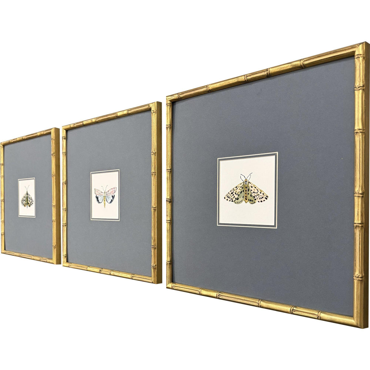 Paragon Pastel Moths I S/3 Green 17 X 17 X 2 Wall Art