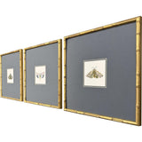 Paragon Pastel Moths I S/3 Green 17 X 17 X 2 Wall Art