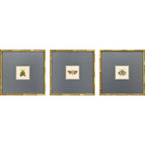 Paragon Pastel Moths II S/3 Green 17 X 17 X 2 Wall Art