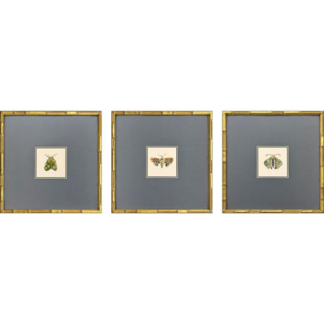 Paragon Pastel Moths II S/3 Green 17 X 17 X 2 Wall Art