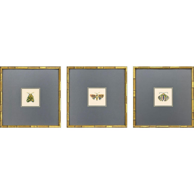 Paragon Pastel Moths II S/3 Green 17 X 17 X 2 Wall Art