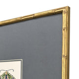 Paragon Pastel Moths II S/3 Green 17 X 17 X 2 Wall Art