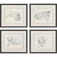 Paragon Antique Dog Sketch S/4 Beige 22 X 25 X 2 Wall Art