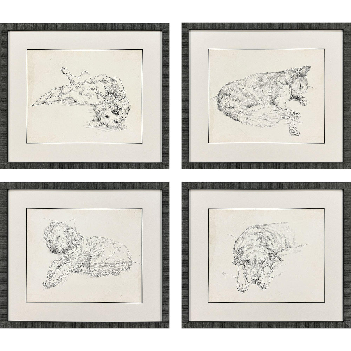 Paragon Antique Dog Sketch S/4 Beige 22 X 25 X 2 Wall Art