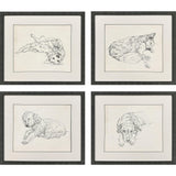 Paragon Antique Dog Sketch S/4 Beige 22 X 25 X 2 Wall Art