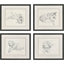 Paragon Antique Dog Sketch S/4 Beige 22 X 25 X 2 Wall Art
