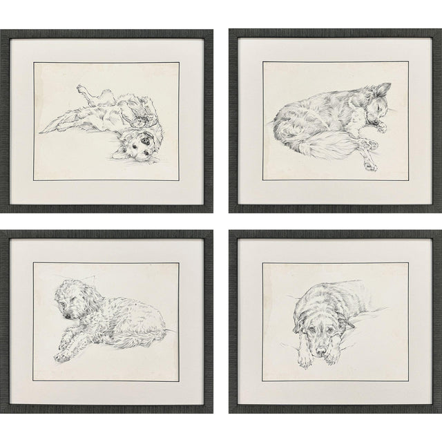 Paragon Antique Dog Sketch S/4 Beige 22 X 25 X 2 Wall Art