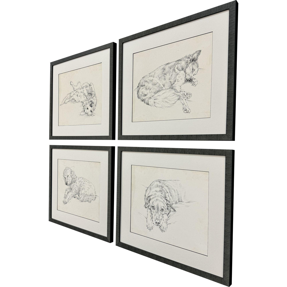 Paragon Antique Dog Sketch S/4 Beige 22 X 25 X 2 Wall Art