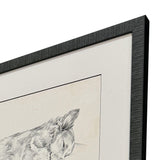 Paragon Antique Dog Sketch S/4 Beige 22 X 25 X 2 Wall Art