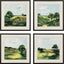 Paragon Verdant View S/4 Green 21 X 21 X 1 Wall Art