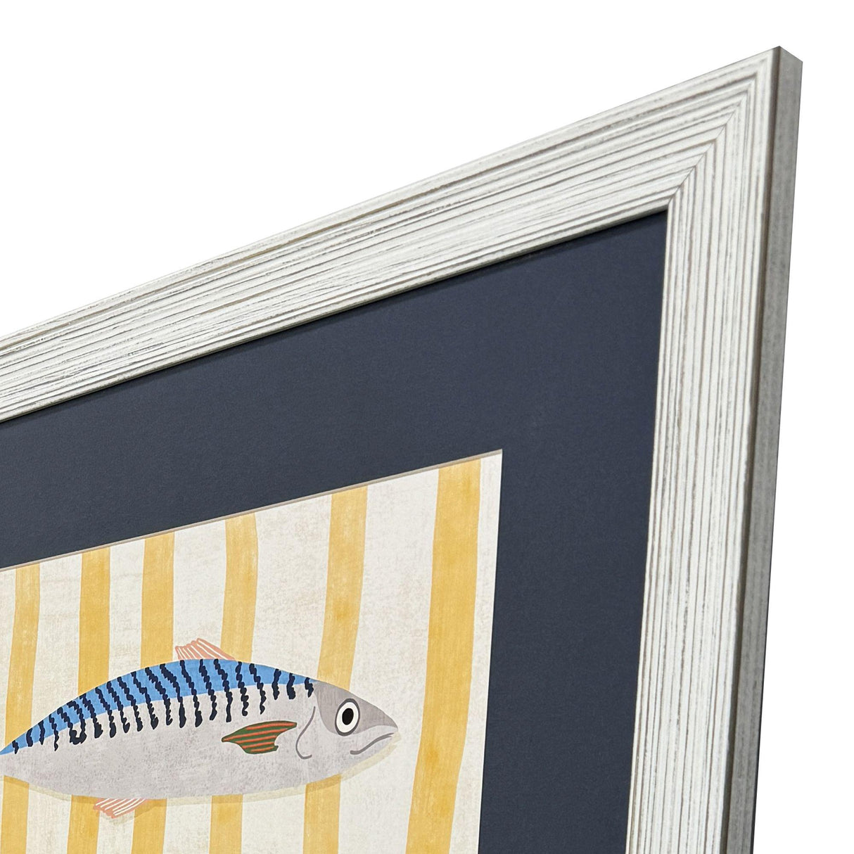 Paragon Little Fish S/2 Blue 29 X 25 X 1 Wall Art
