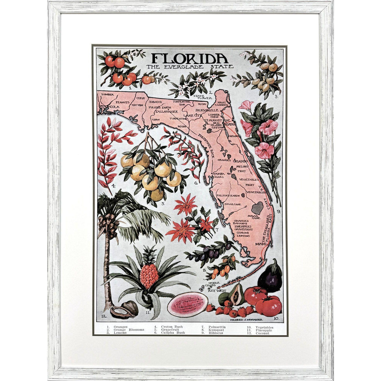 Paragon Vintage Florida Map Pink 47 X 35 X 1 Wall Art