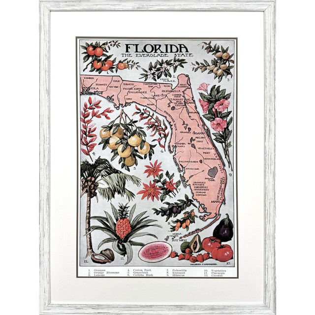 Paragon Vintage Florida Map Pink 47 X 35 X 1 Wall Art