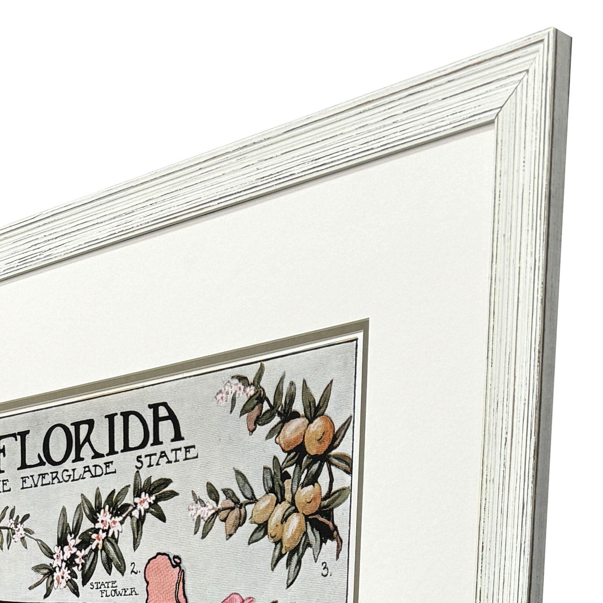 Paragon Vintage Florida Map Pink 47 X 35 X 1 Wall Art