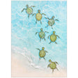 Paragon Swimming Turtles II Blue 29 X 21 X 3 Wall Art