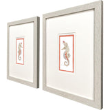 Paragon Dreamy Seahorse S/2 Orange 14 X 11 X 1 Wall Art