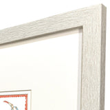 Paragon Dreamy Crab S/2 Orange 11 X 11 X 1 Wall Art