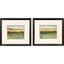 Paragon Abstract Vast Field S/2 Green 22 X 25 X 1 Wall Art