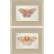 Paragon Forest Moth S/2 Pink 19 X 24 X 1 Wall Art