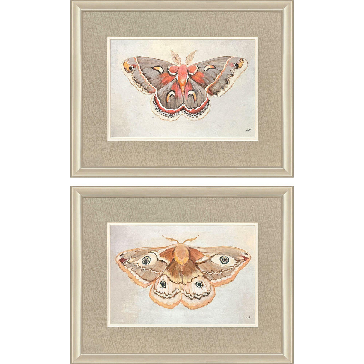 Paragon Forest Moth S/2 Pink 19 X 24 X 1 Wall Art