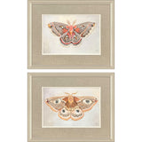 Paragon Forest Moth S/2 Pink 19 X 24 X 1 Wall Art