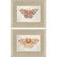 Paragon Forest Moth S/2 Pink 19 X 24 X 1 Wall Art