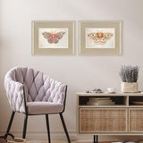 Paragon Forest Moth S/2 Pink 19 X 24 X 1 Wall Art