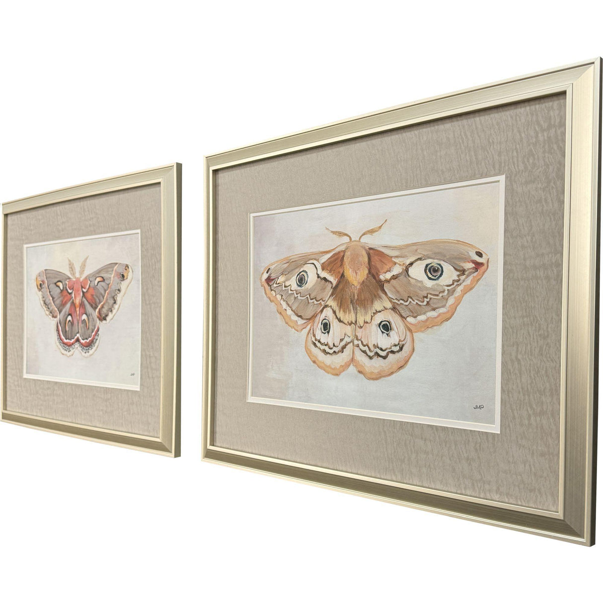Paragon Forest Moth S/2 Pink 19 X 24 X 1 Wall Art