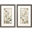 Paragon Neutral Green S/2 Green 35 X 23 X 1 Wall Art