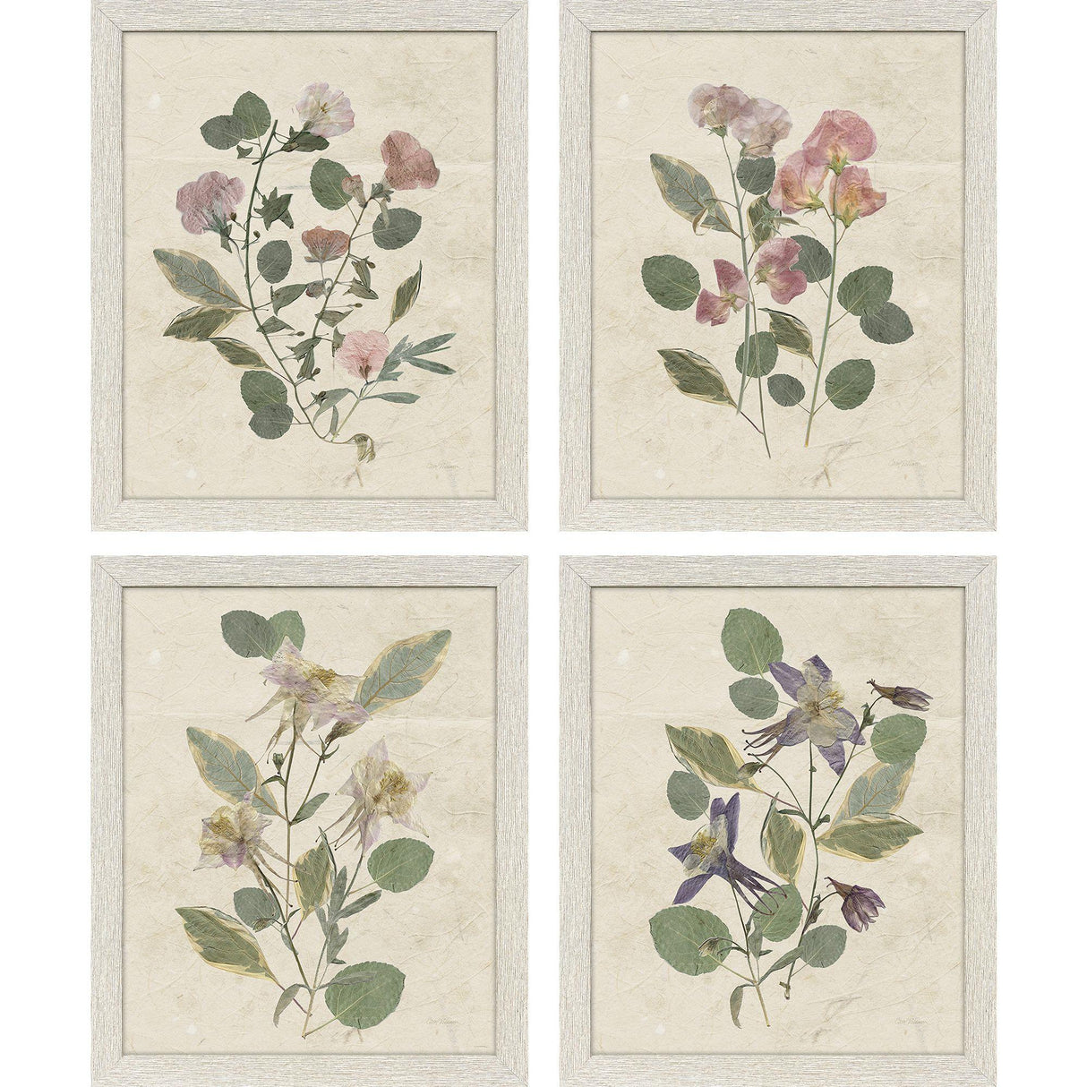 Paragon Pressed Arrangement S/4 Pink 15 X 12 X 1 Wall Art
