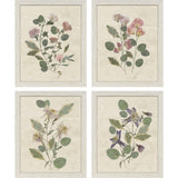 Paragon Pressed Arrangement S/4 Pink 15 X 12 X 1 Wall Art