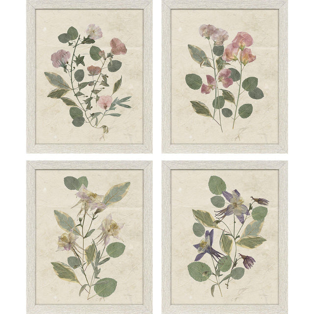 Paragon Pressed Arrangement S/4 Pink 15 X 12 X 1 Wall Art