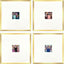 Paragon Floral Emotions S/4 Blue 24 X 24 X 2 Wall Art