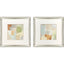 Paragon Painted Sketch S/2 Green 23 X 23 X 1 Wall Art