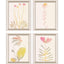 Paragon Soft Bloom S/4 Pink 18 X 14 X 2 Wall Art