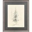 Paragon Elegant Pine I Black 33 X 27 X 1 Wall Art