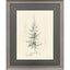 Paragon Elegant Pine I Black 33 X 27 X 1 Wall Art