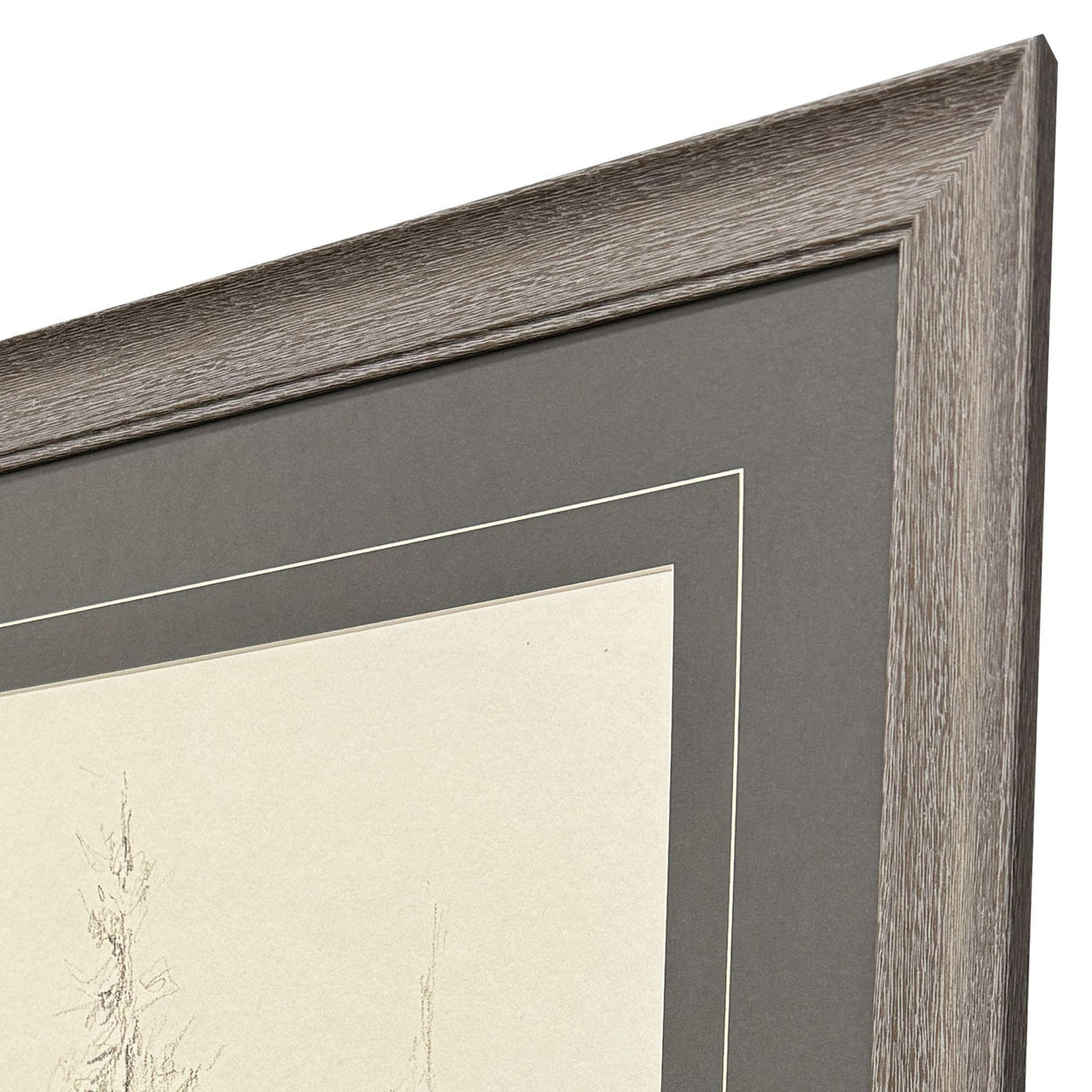 Paragon Elegant Pine I Black 33 X 27 X 1 Wall Art