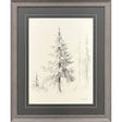 Paragon Elegant Pine II Black 33 X 27 X 1 Wall Art