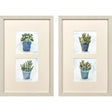 Paragon Pot of Herbs S/2 Blue 20 X 13 X 1 Wall Art